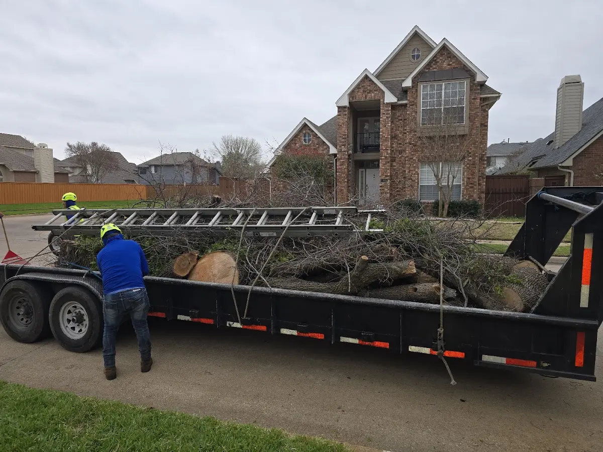 Expert Tree Removal with proper safety equipment in Commiskey